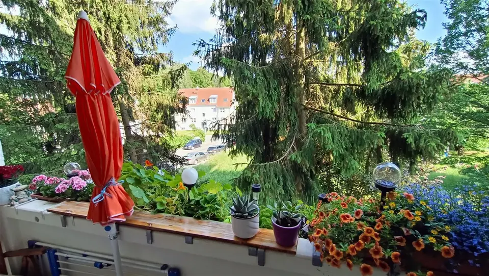 2 Zimmer Wohnung mit 51 m² in Chemnitz – Bild 4