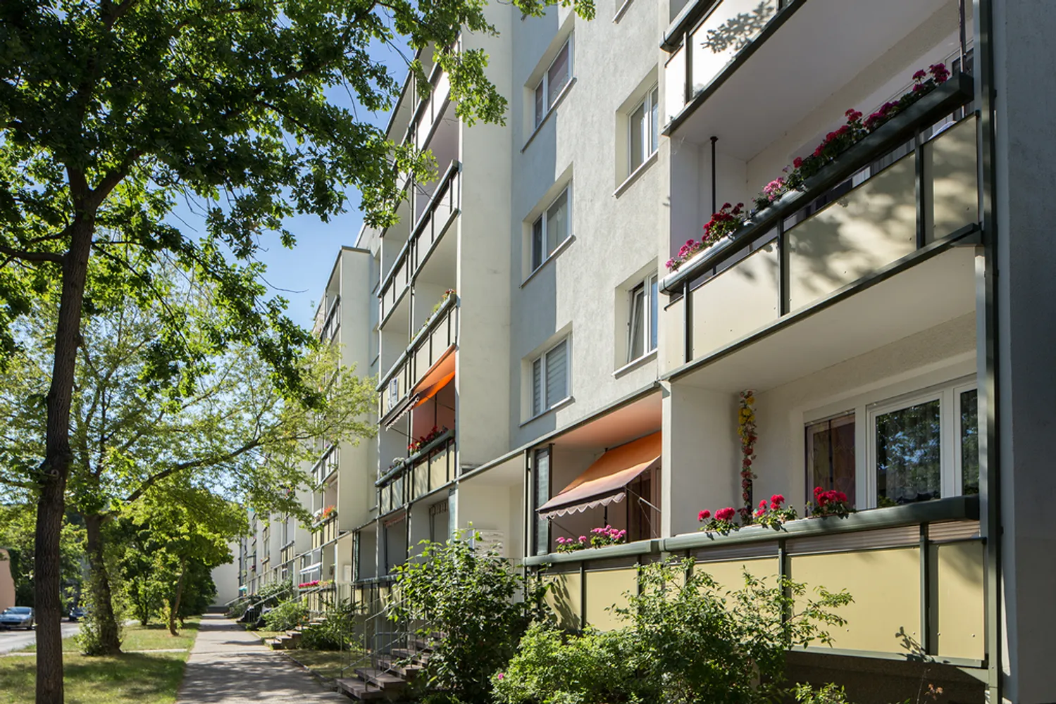 3 Zimmer Wohnung mit 60 m² in Halle (Saale) – Bild 2