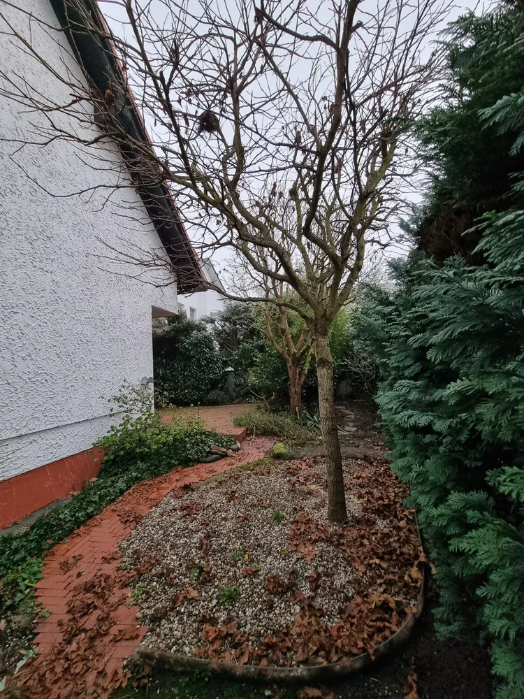 6 Zimmer Haus mit 145 m² in Oberursel (Taunus) – Bild 5