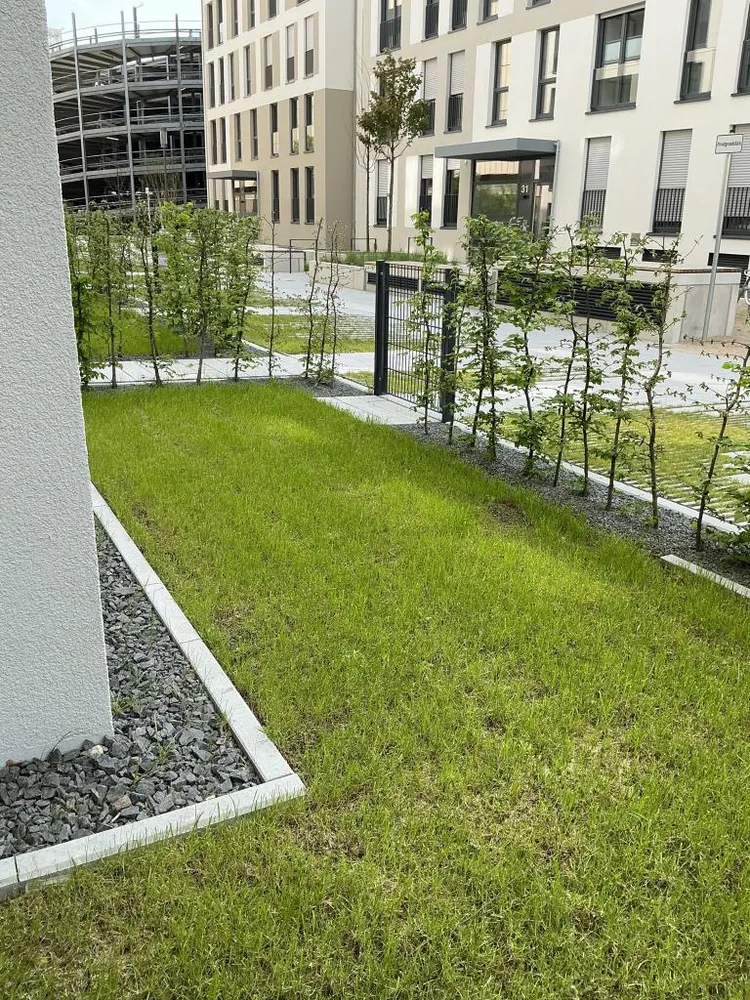 2 Zimmer Wohnung mit 61 m² in Essen – Bild 5