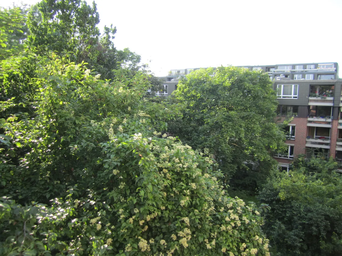 1 Zimmer Wohnung mit 34 m² in Köln – Bild 11