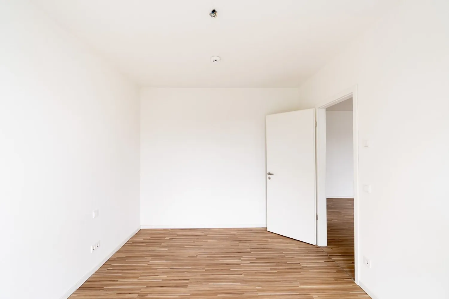 2 room apartment with 61 m² in Dresden – Photo 4