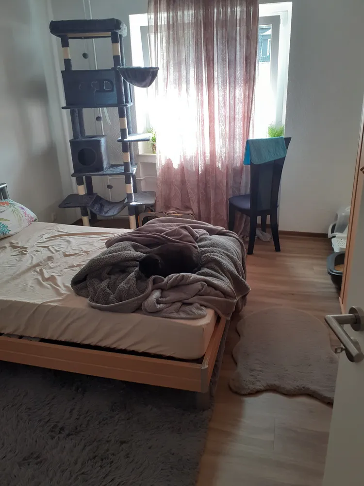 3 Zimmer Wohnung mit 49 m² in Hattingen – Bild 6