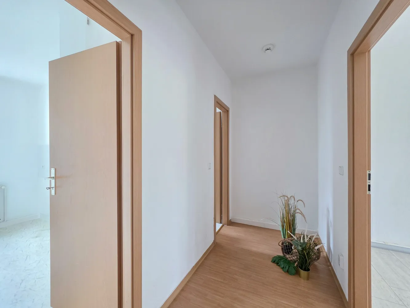 2 room apartment with 49 m² in Magdeburg – Photo 7