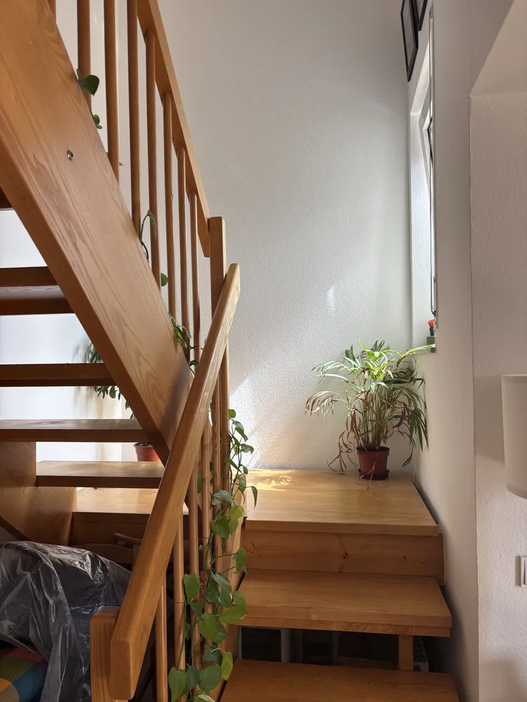 2 Zimmer Wohnung mit 66 m² in Frankfurt am Main – Bild 3