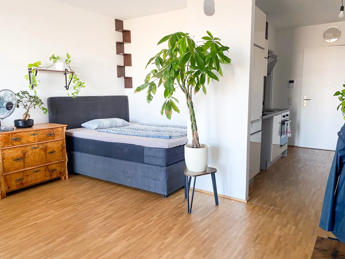 1 Zimmer Wohnung mit 31 m² in Mainz – Bild 2