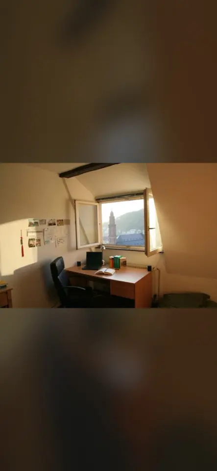 WG-Zimmer mit 15 m² in Heidelberg – Bild 4