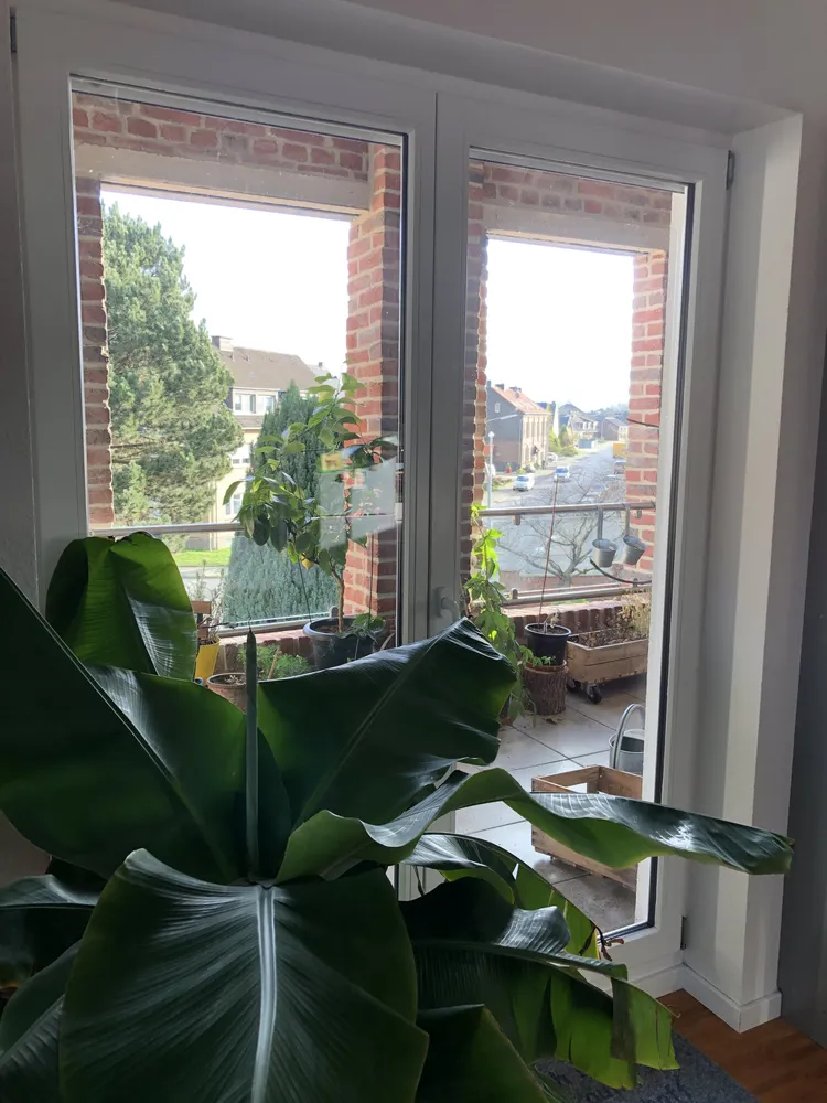 2 room apartment with 81 m² in Mönchengladbach – Photo 8