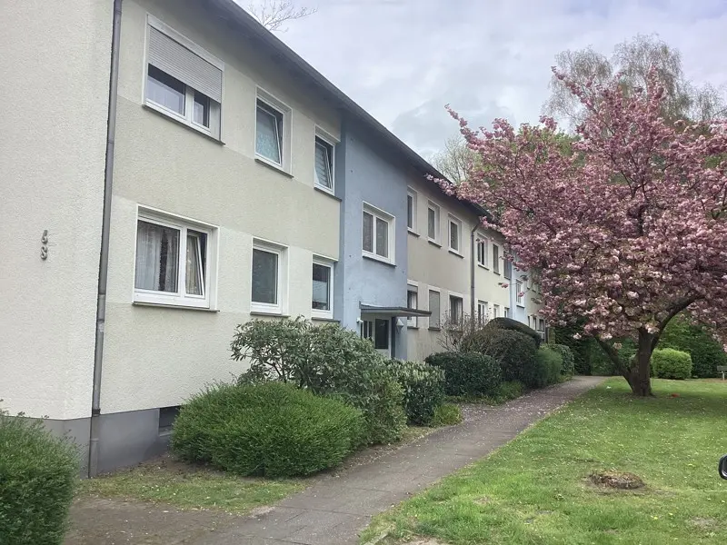 3 Zimmer Wohnung mit 70 m² in Gelsenkirchen – Bild 2