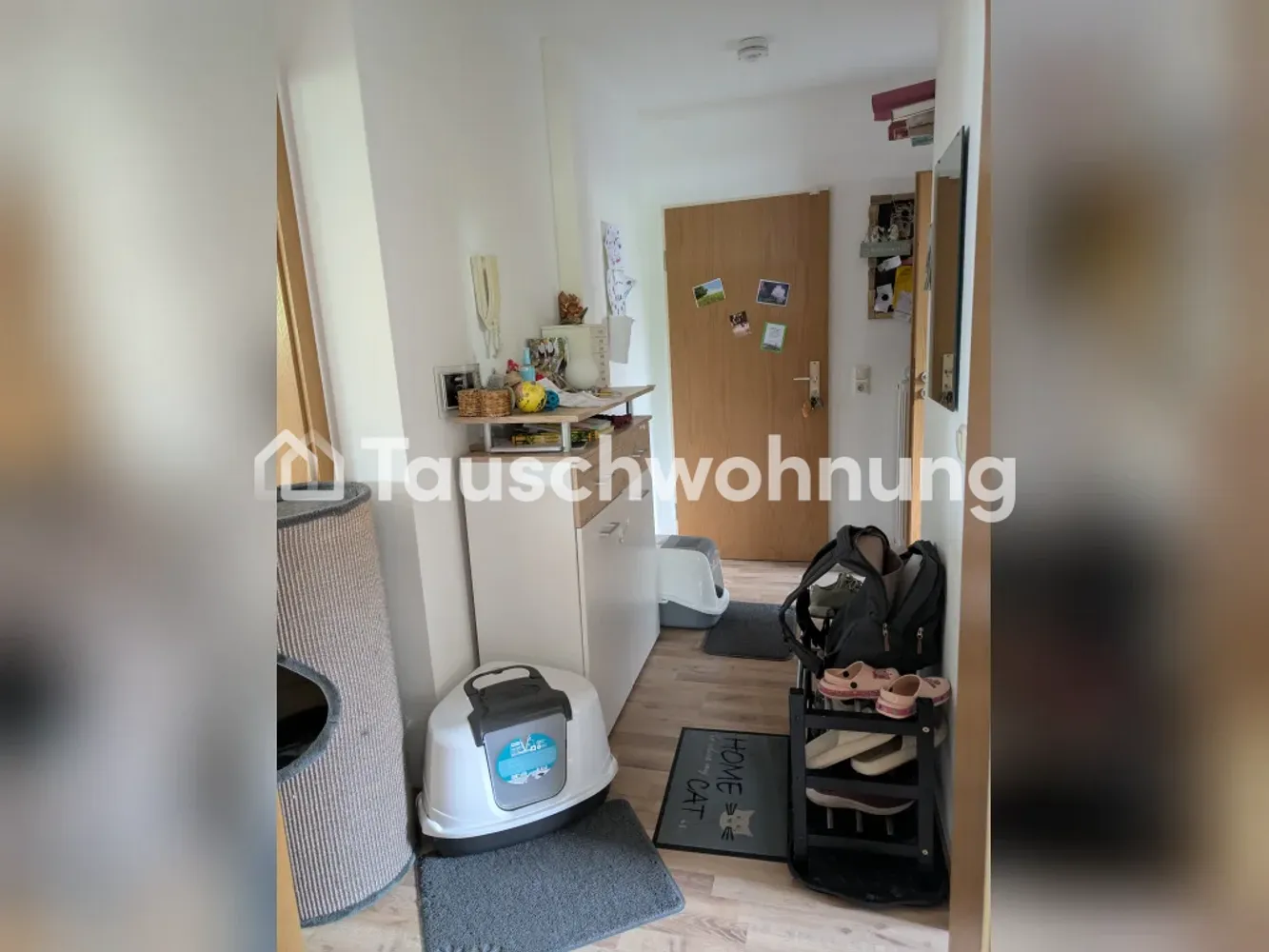 2 Zimmer Wohnung mit 54 m² in Dresden – Bild 2