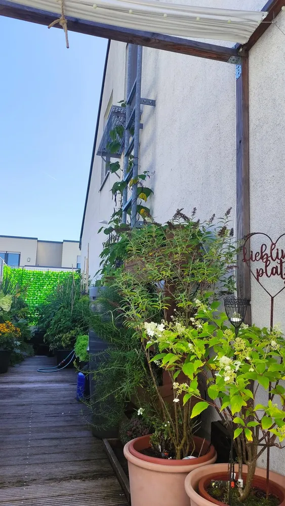3 Zimmer Wohnung mit 100 m² in Bergisch Gladbach – Bild 2