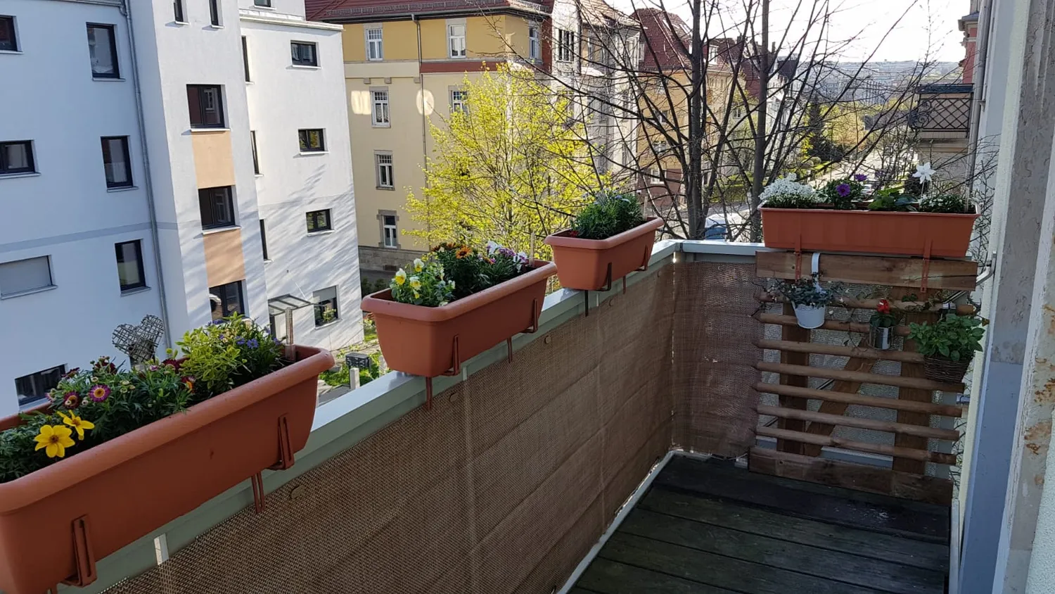 2 room apartment with 55 m² in Dresden – Photo 1