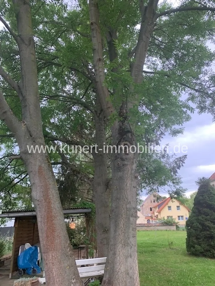 2 Zimmer Wohnung mit 48 m² in Halle (Saale) – Bild 4