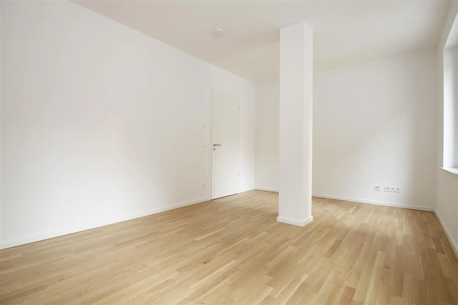 2 Zimmer Wohnung mit 75 m² in Dresden – Bild 5