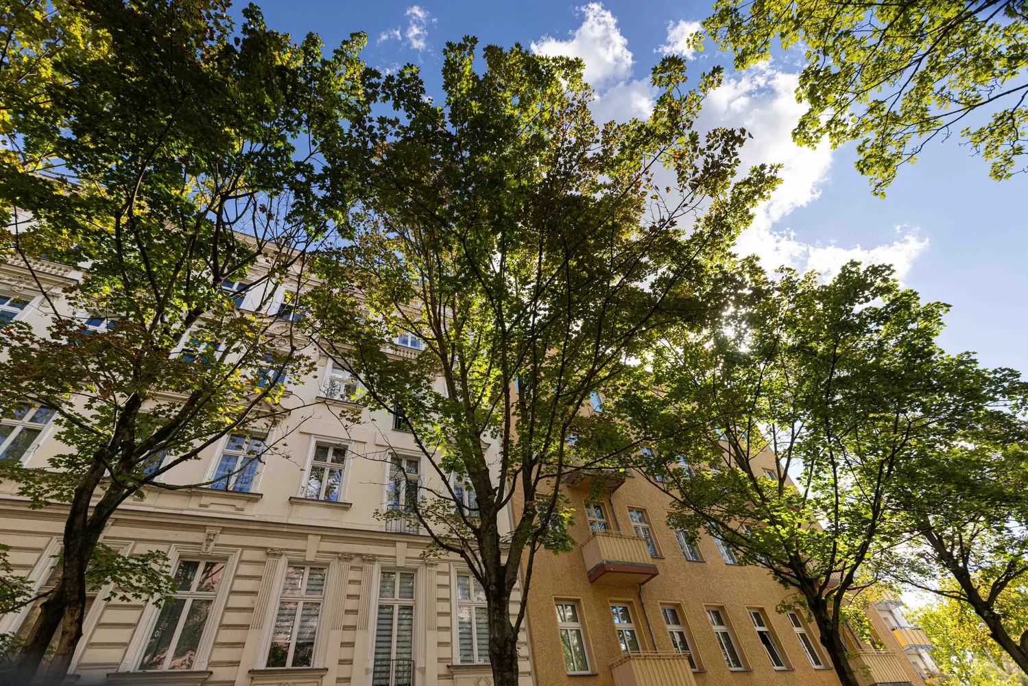 3 Zimmer Wohnung mit 80 m² in Berlin – Bild 9