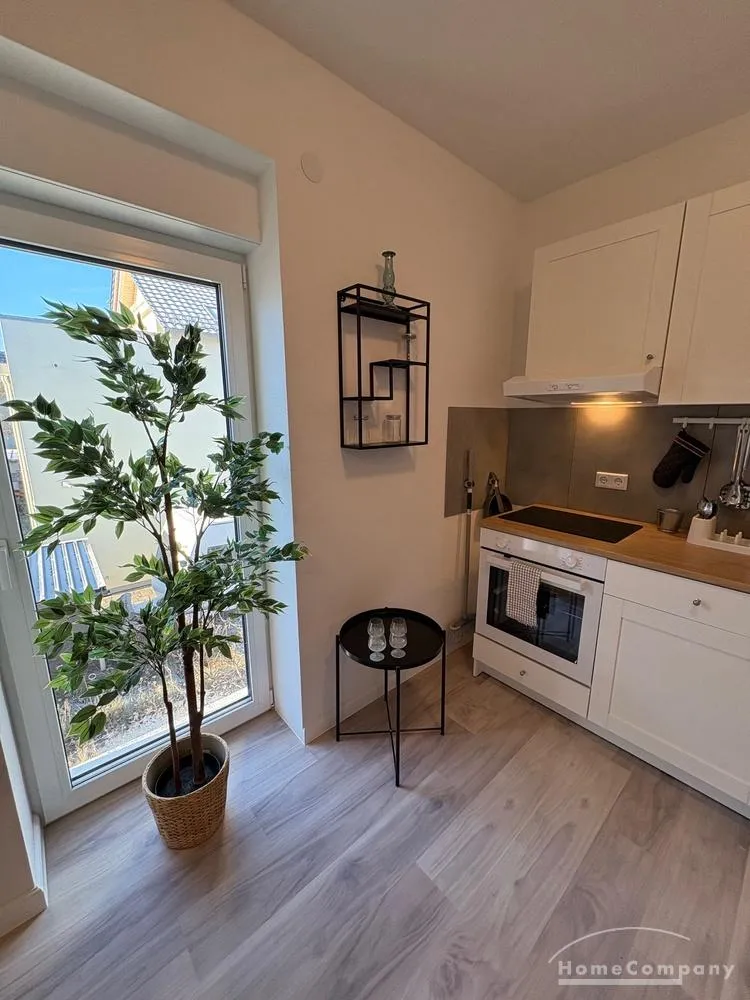 1 Zimmer Wohnung mit 20 m² in Dresden – Bild 5