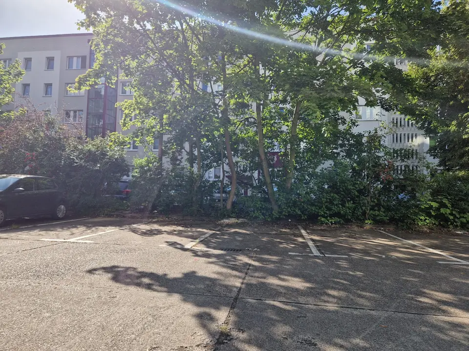 3 Zimmer Wohnung mit 60 m² in Halle (Saale) – Bild 7