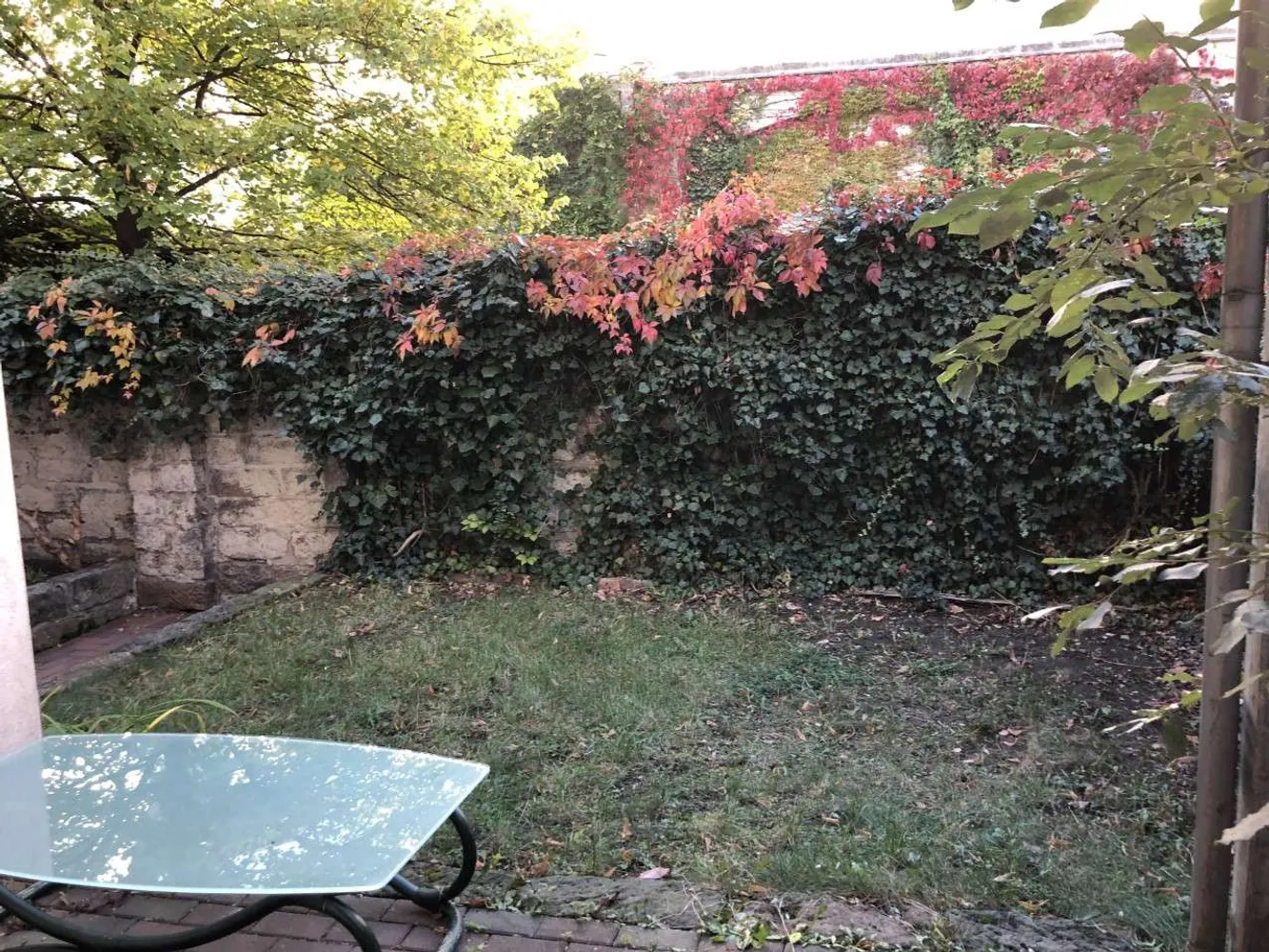 1 Zimmer Wohnung mit 45 m² in Dresden – Bild 3