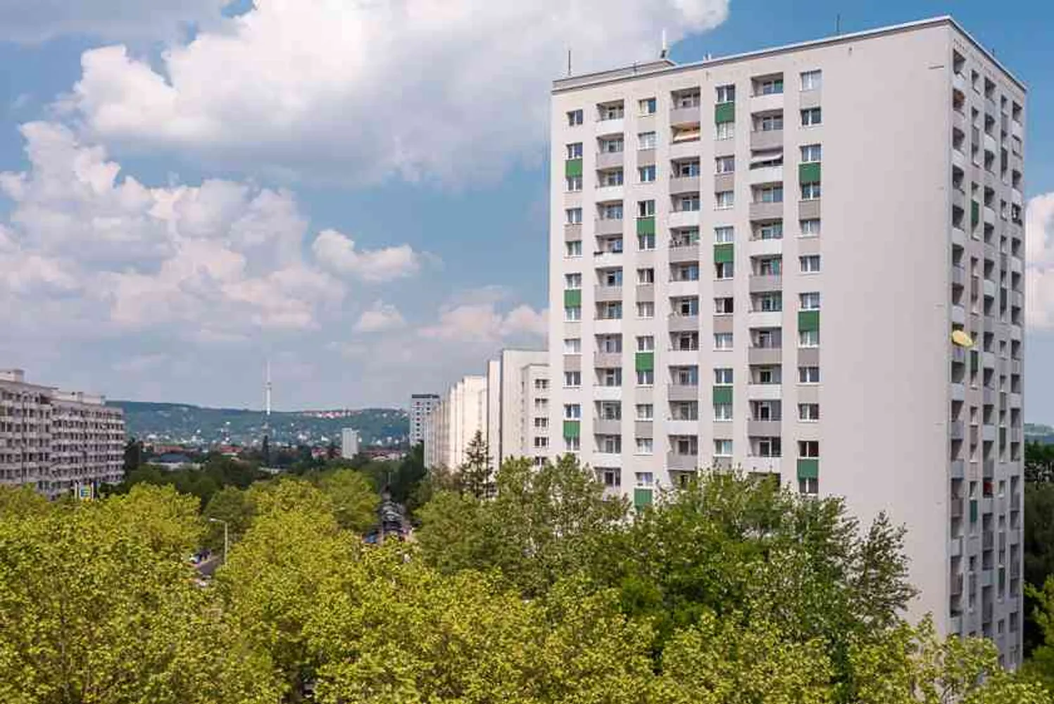 3 Zimmer Wohnung mit 79 m² in Dresden – Bild 4