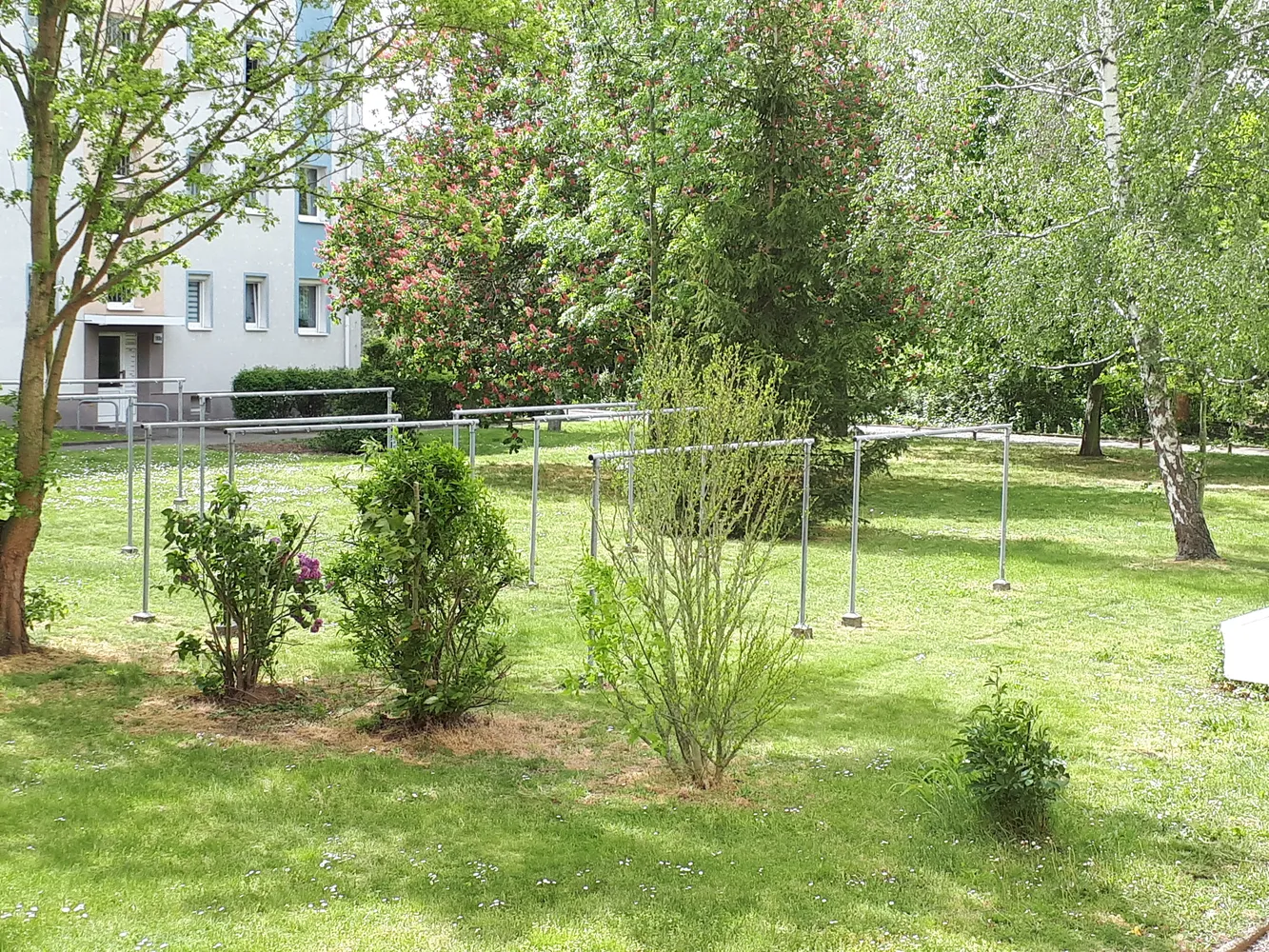 3 room apartment with 58 m² in Halle (Saale) – Photo 5