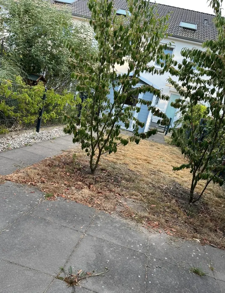 3 Zimmer Haus mit 82 m² in Bremen – Bild 8