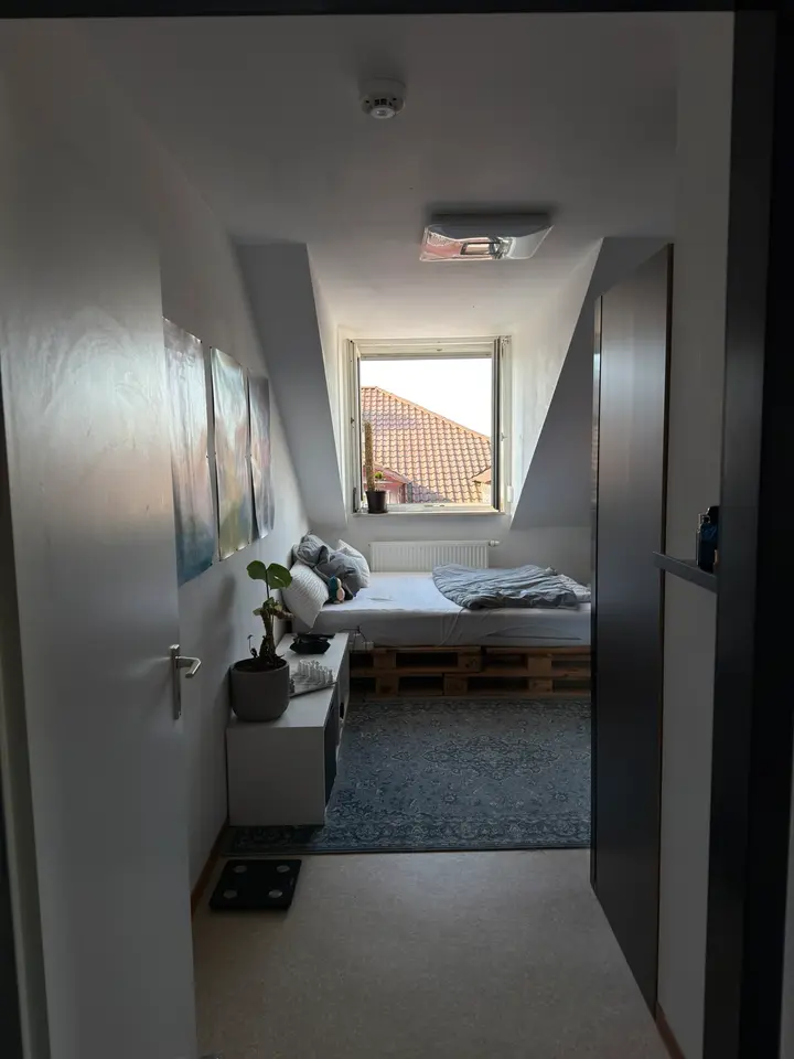 WG-Zimmer mit 70 m² in Würzburg – Bild 5