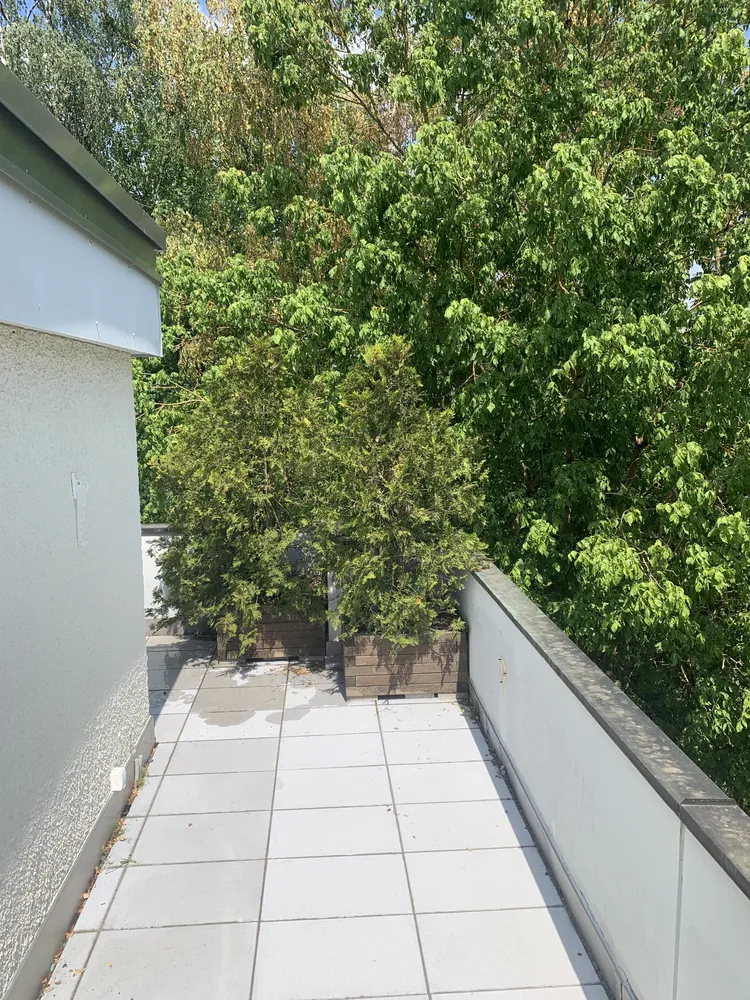 2 Zimmer Wohnung mit 53 m² in München – Bild 3