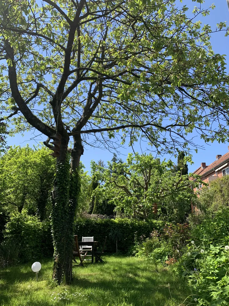 2 Zimmer Wohnung mit 57 m² in Kiel – Bild 12
