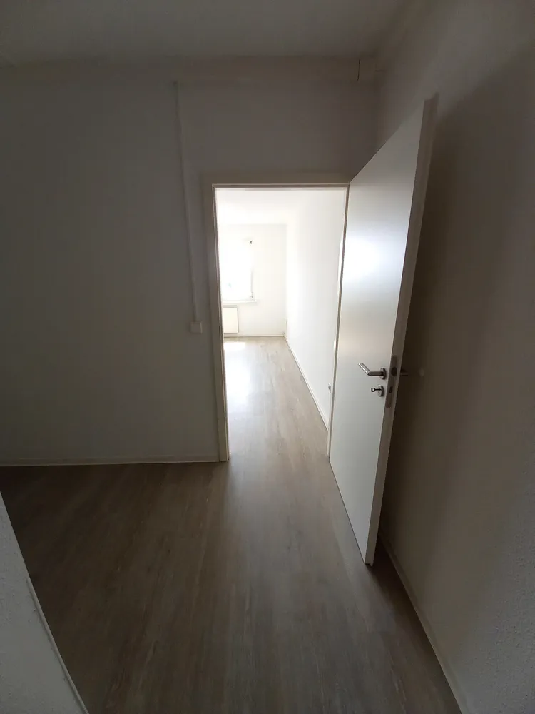 1 Zimmer Wohnung mit 27 m² in Dresden – Bild 5