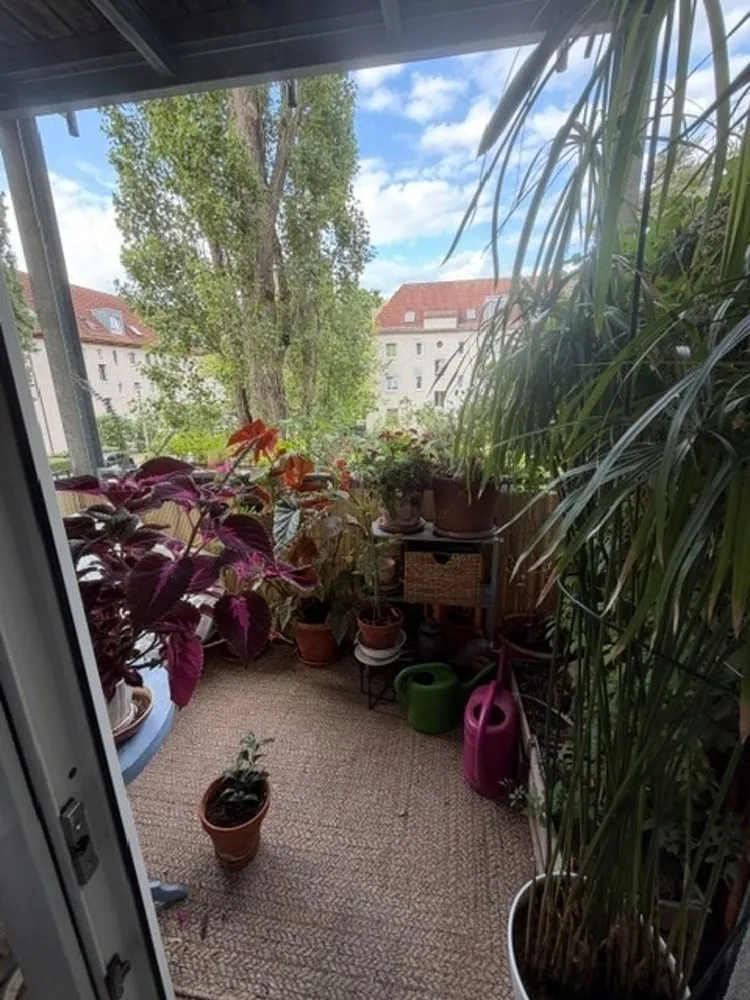 2 Zimmer Wohnung mit 49 m² in Dresden – Bild 4
