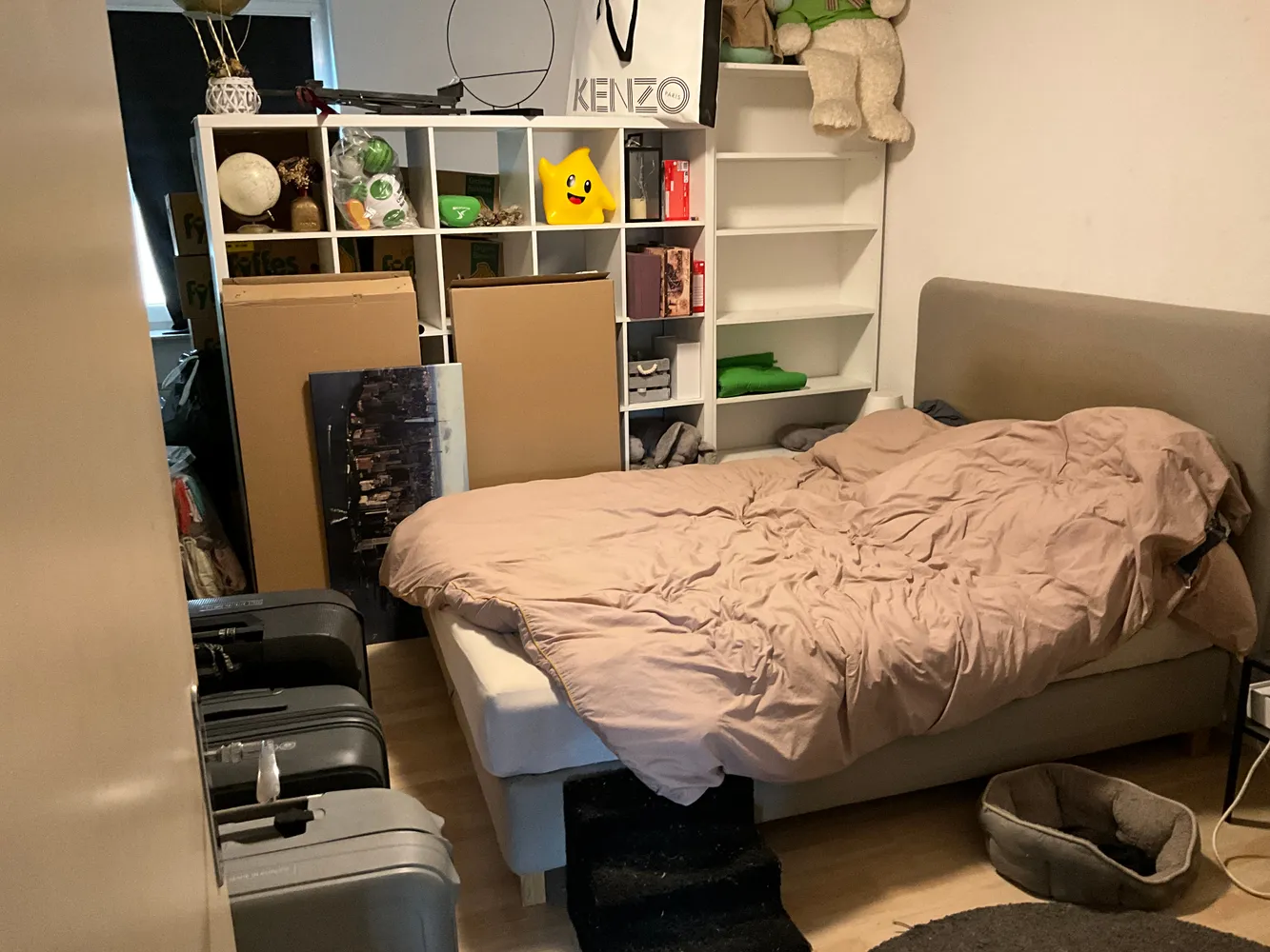 2 room apartment with 63 m² in Düsseldorf – Photo 3