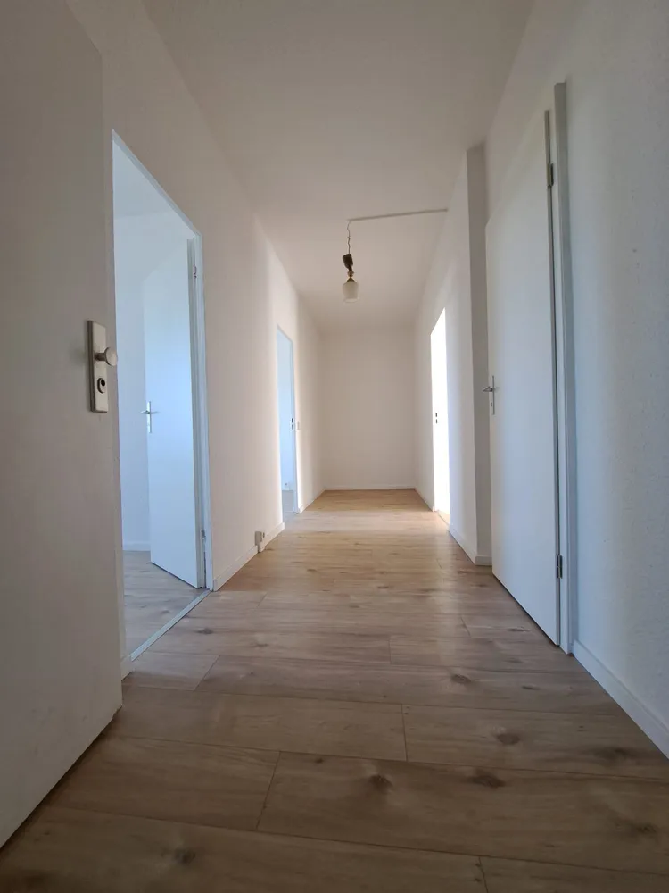 3 room apartment with 71 m² in Magdeburg – Photo 4