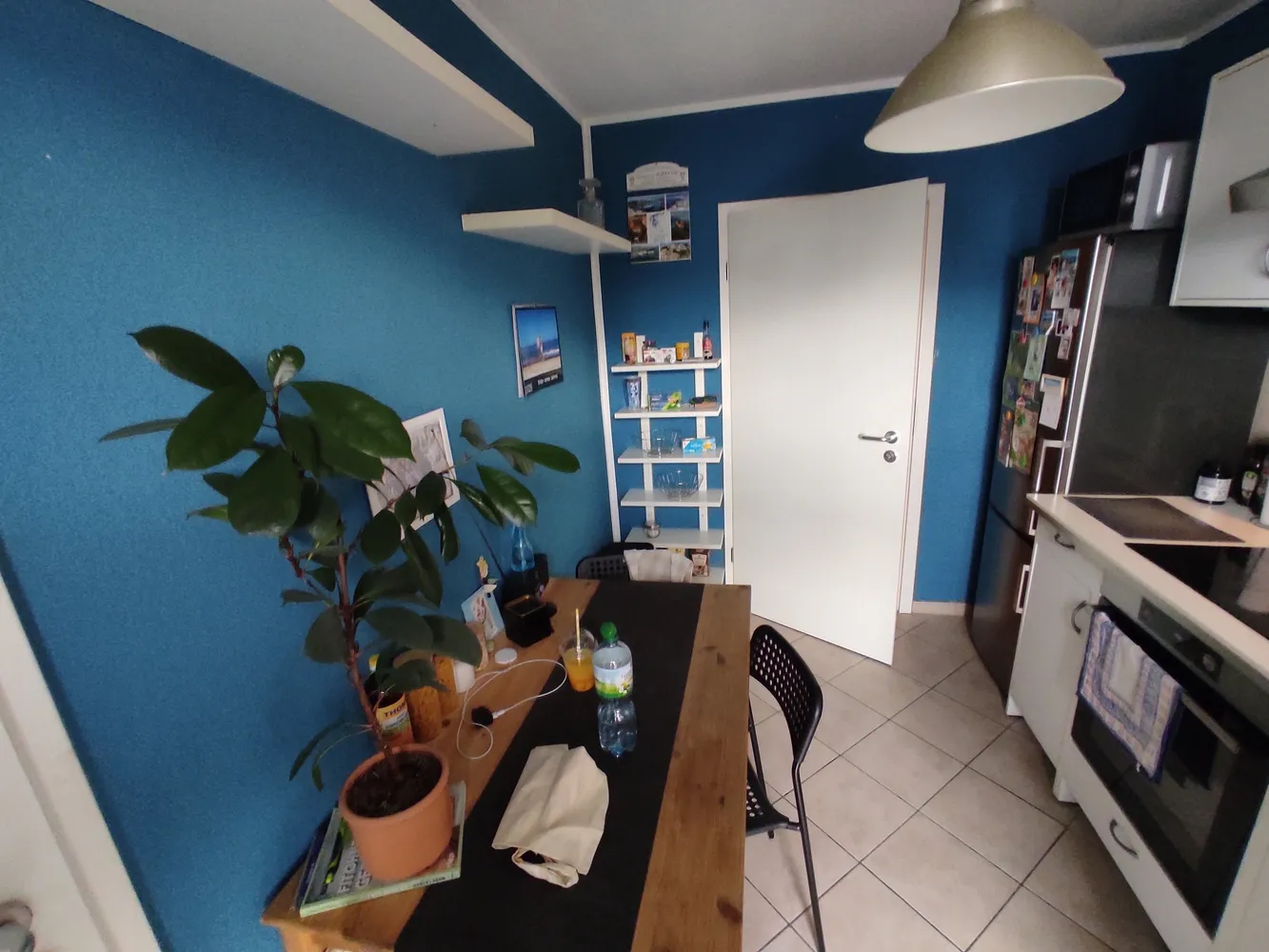 2 Zimmer Wohnung mit 50 m² in Magdeburg – Bild 7