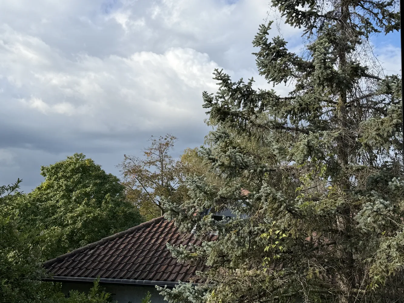 2 room apartment with 63 m² in Bonn – Photo 10