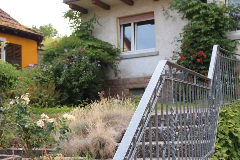 5 Zimmer Haus mit 120 m² in Mainz – Bild 4