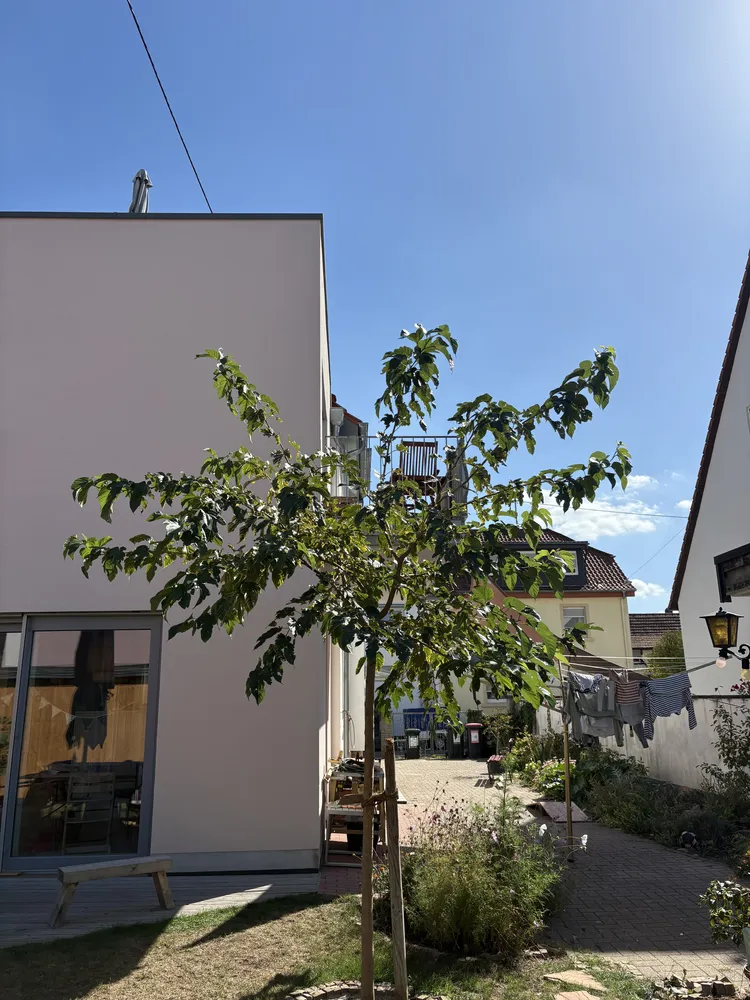 4 Zimmer Wohnung mit 112 m² in Karlsruhe – Bild 6
