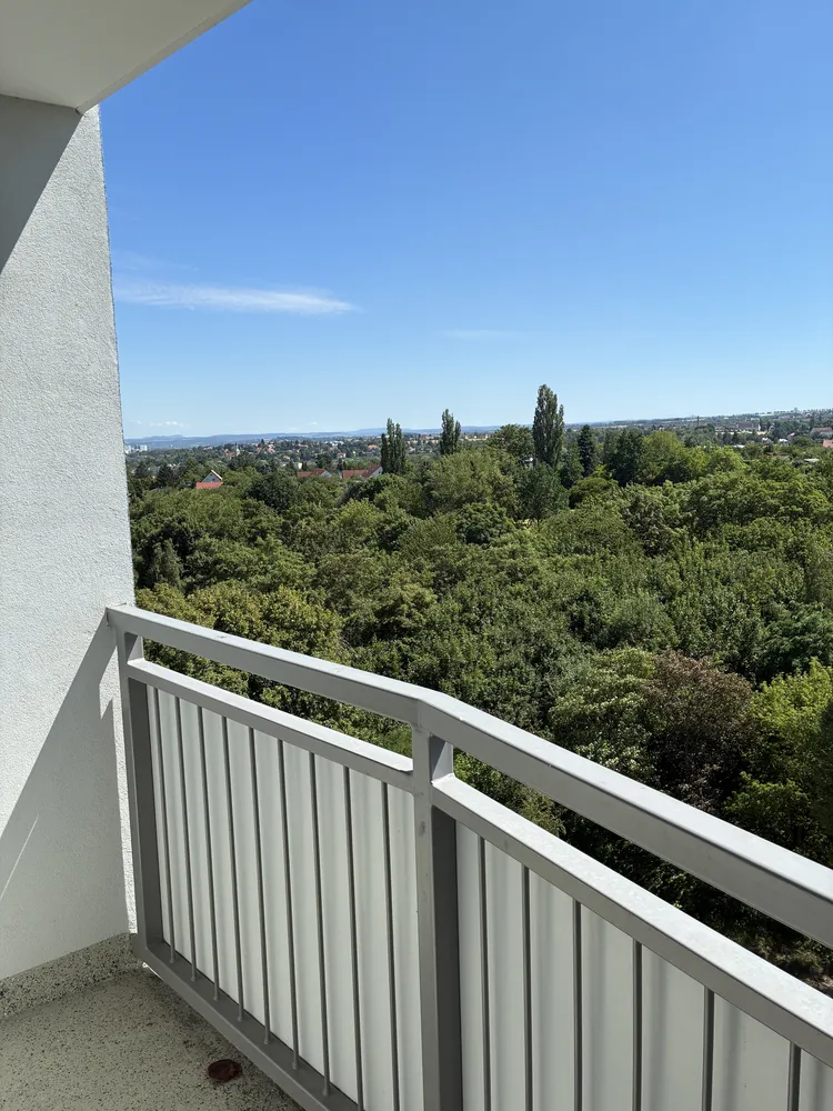 3 Zimmer Wohnung mit 77 m² in Dresden – Bild 4