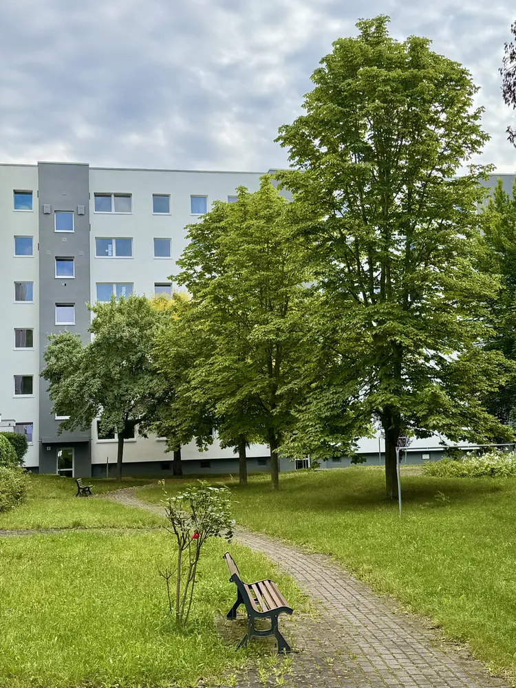 3 Zimmer Wohnung mit 61 m² in Dresden – Bild 2