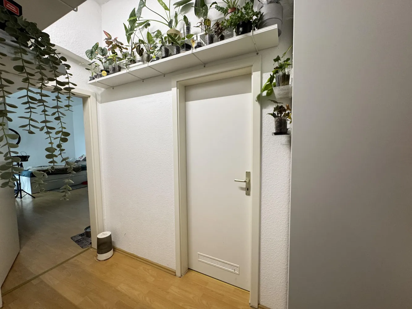 3 room apartment with 111 m² in Magdeburg – Photo 4