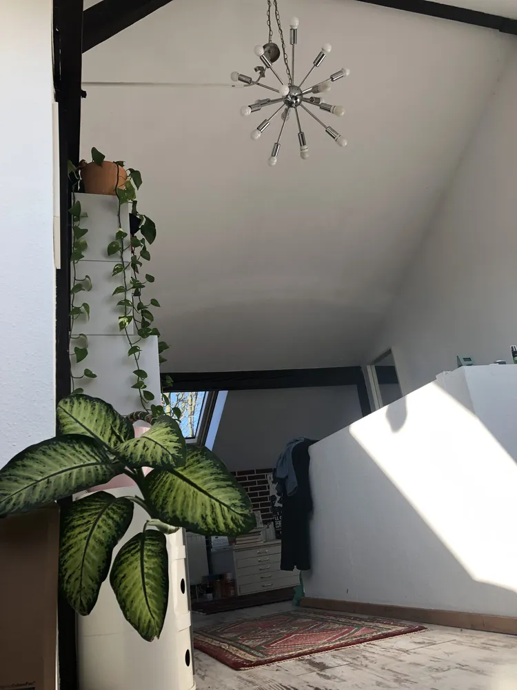 3 room apartment with 82 m² in Düsseldorf – Photo 5