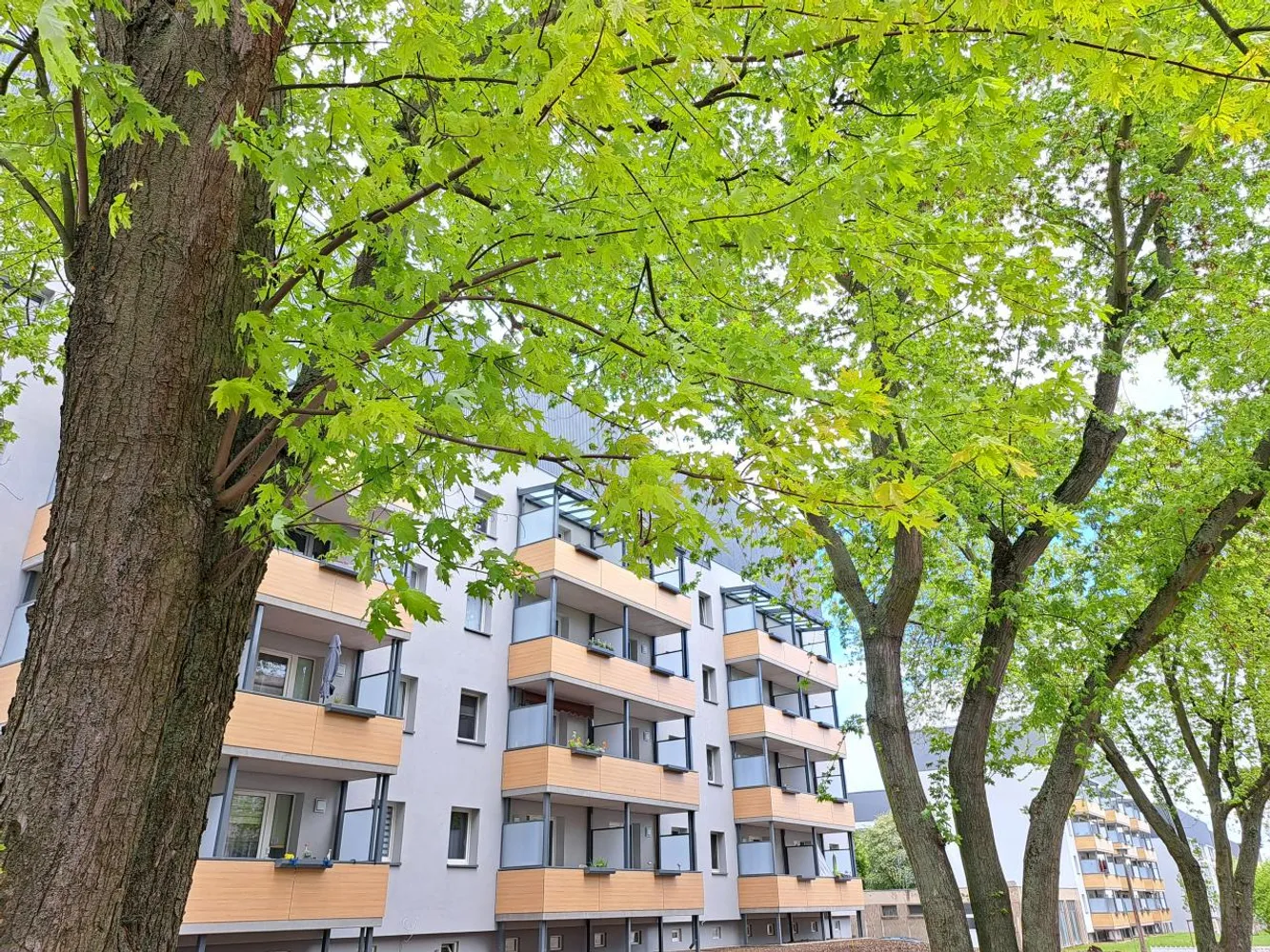 3 Zimmer Wohnung mit 58 m² in Magdeburg – Bild 6