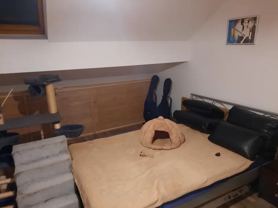 4 Zimmer Haus mit 133 m² in Buxtehude – Bild 6