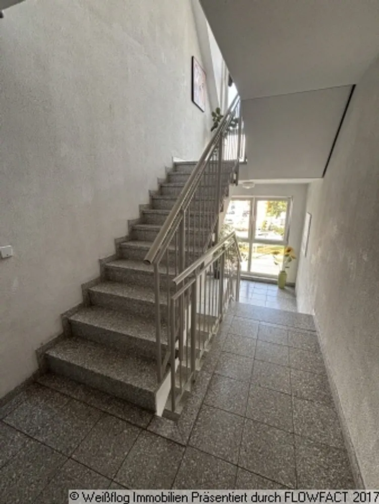 1 room apartment with 24 m² in Chemnitz – Photo 3
