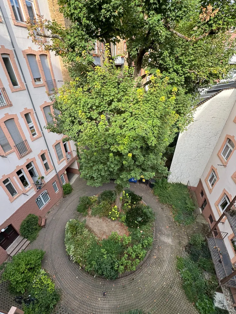 2 room apartment with 68 m² in Wiesbaden – Photo 5