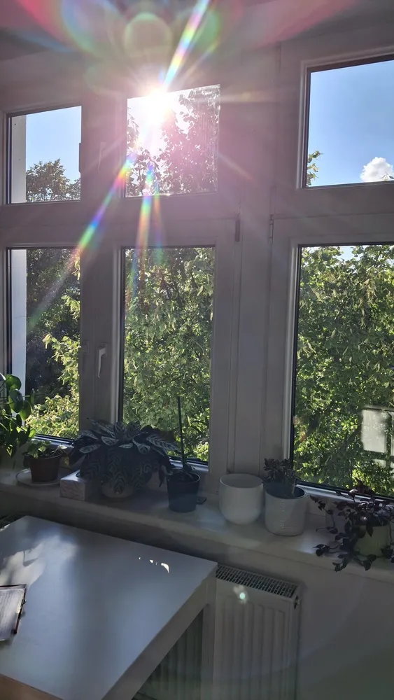 1 Zimmer Wohnung mit 35 m² in Berlin – Bild 3