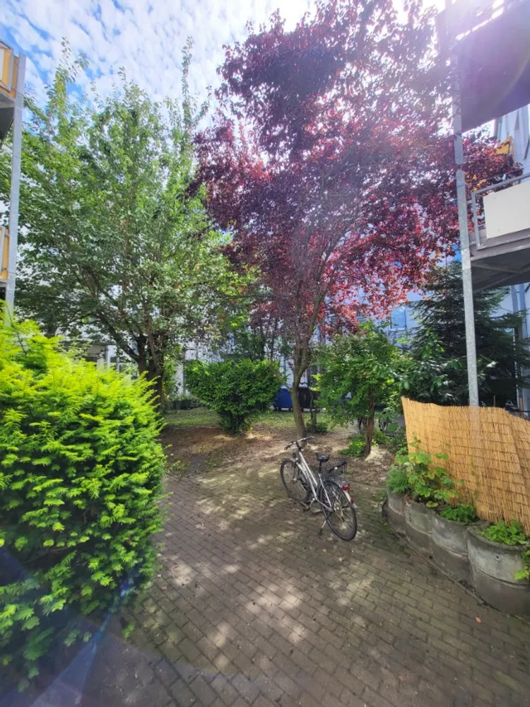 2 room apartment with 44 m² in Magdeburg – Photo 9