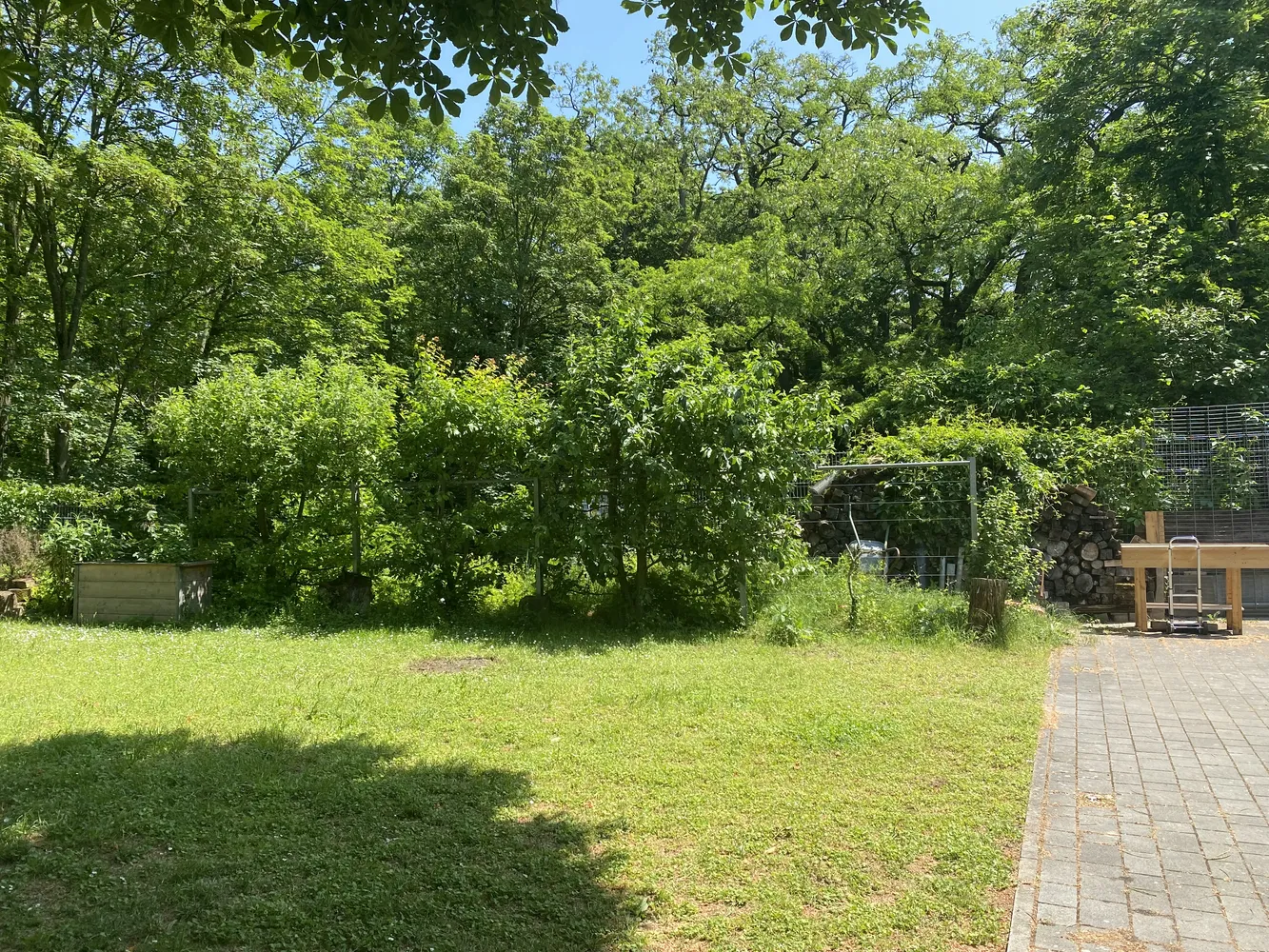 3 Zimmer Haus mit 120 m² in Offenbach am Main – Bild 5