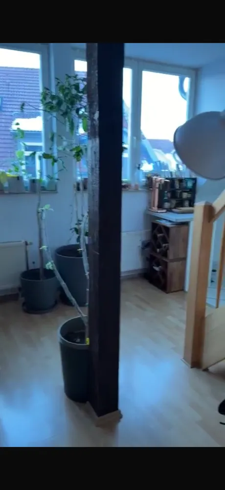 2 room apartment with 65 m² in Erfurt – Photo 12