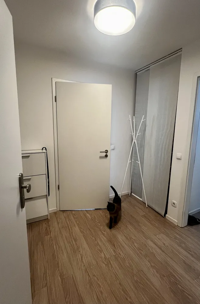 2 Zimmer Wohnung mit 50 m² in Dresden – Bild 9