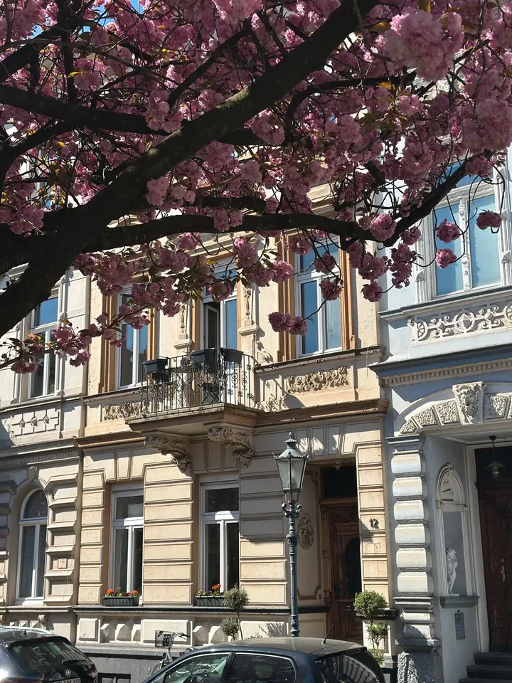 2 Zimmer Wohnung mit 42 m² in Krefeld – Bild 4